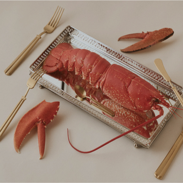 Banner home img - right